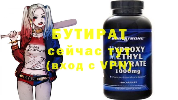 индика Гусь-Хрустальный