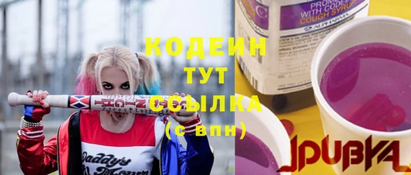 индика Гусь-Хрустальный