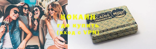 индика Гусь-Хрустальный