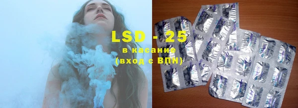 индика Гусь-Хрустальный