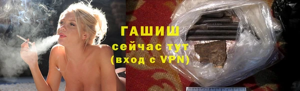 индика Гусь-Хрустальный