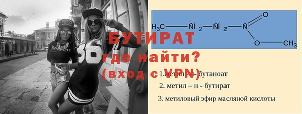 индика Гусь-Хрустальный