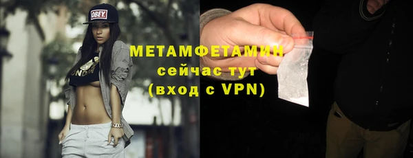 индика Гусь-Хрустальный