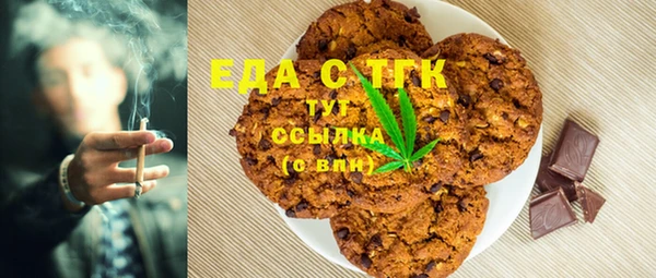 индика Гусь-Хрустальный