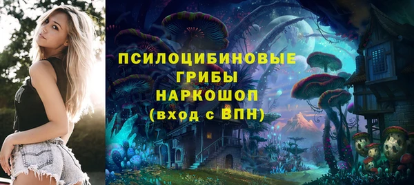 индика Гусь-Хрустальный