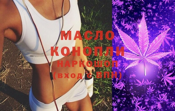 индика Гусь-Хрустальный