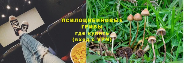 стафф Горно-Алтайск