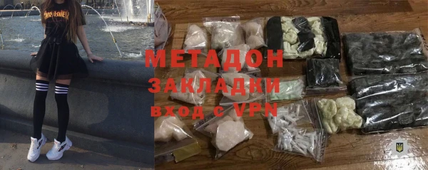 индика Гусь-Хрустальный