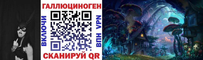 Купить закладки  Камызяк  Псилоцибиновые грибы Cubensis 