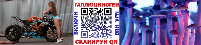 Псилоцибиновые грибы прущие грибы Камызяк